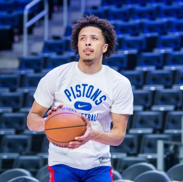 雄鹿并非只 雄鹿并非只